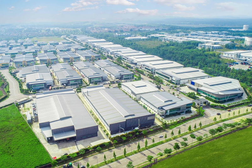 Máy vẽ dây 2024